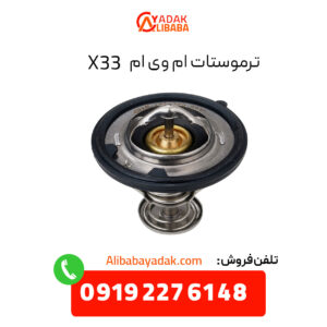 ترموستات ام وی ام X33