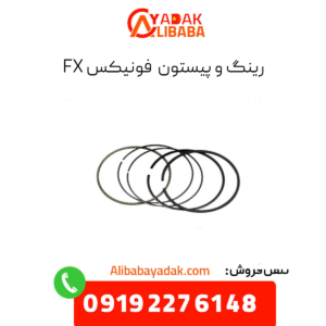 رینگ و پیستون فونیکس fx