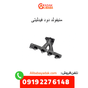 منیفلد دود فیدلیتی